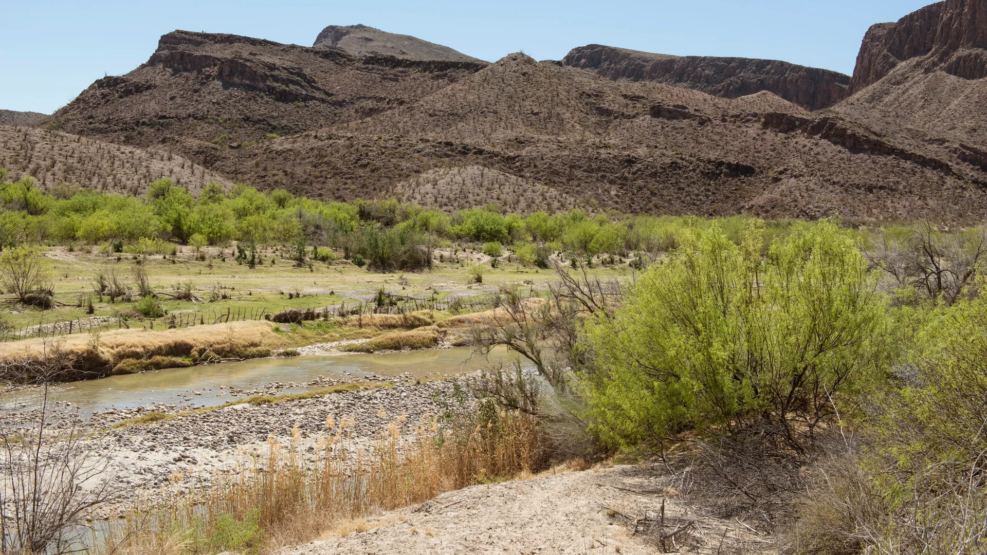 Trockener Flusslauf, grüne Ufervegetation und Tafelberge im Big Bend Ranch State Park