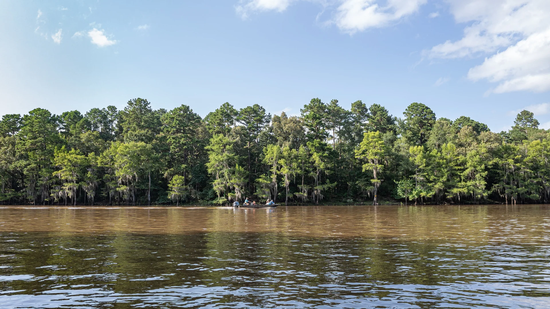 Ruhiges Wasser und dichter Zypressenwald am Big Cypress Bayou im Caddo Lake State Park