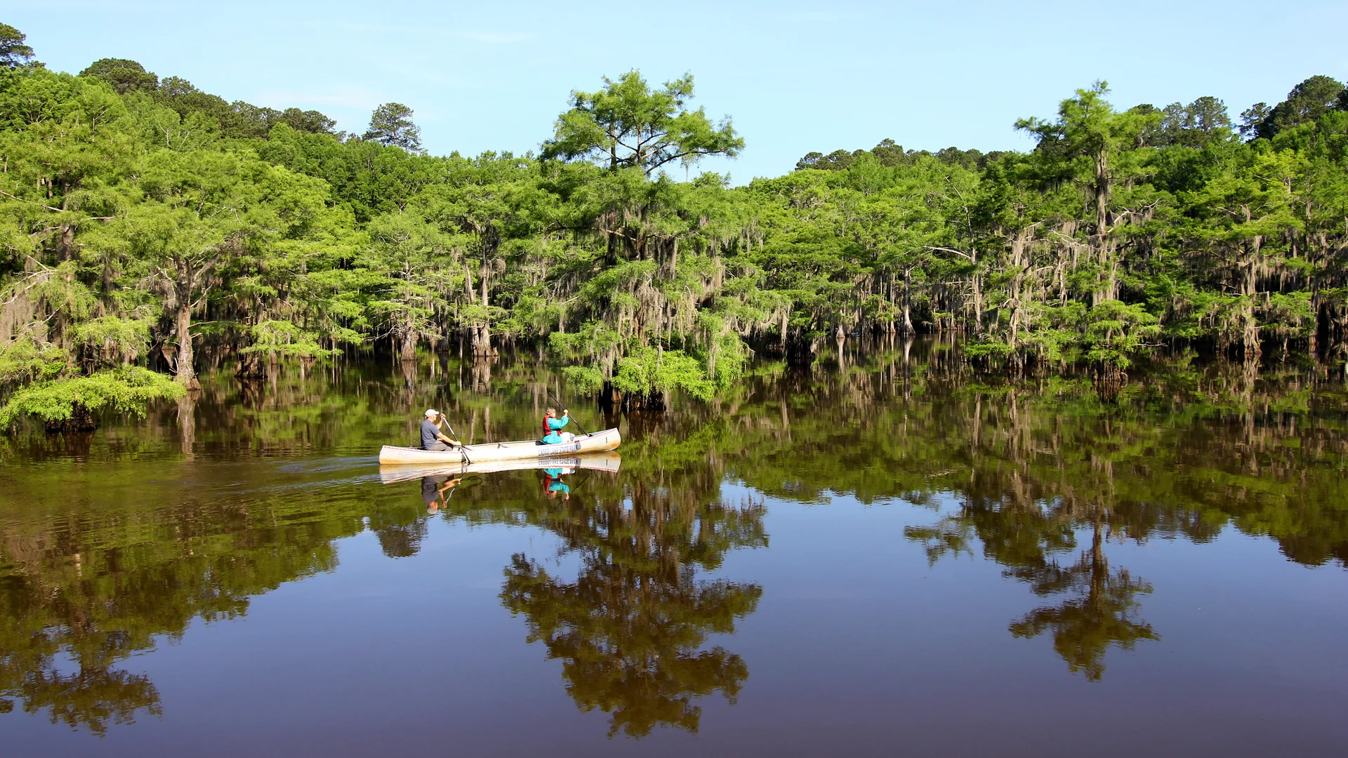 Zwei Menschen paddeln zwischen Zypressen im Caddo Lake State Park in Texas