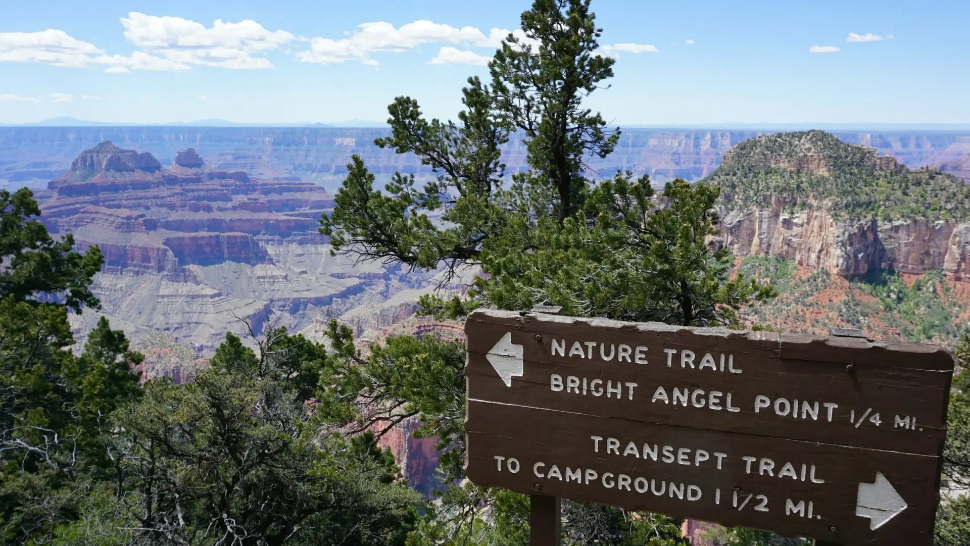 Blick vom North Rim des Grand Canyon als Symbolbild für aktuelle USA-Reisehinweise im Oktober