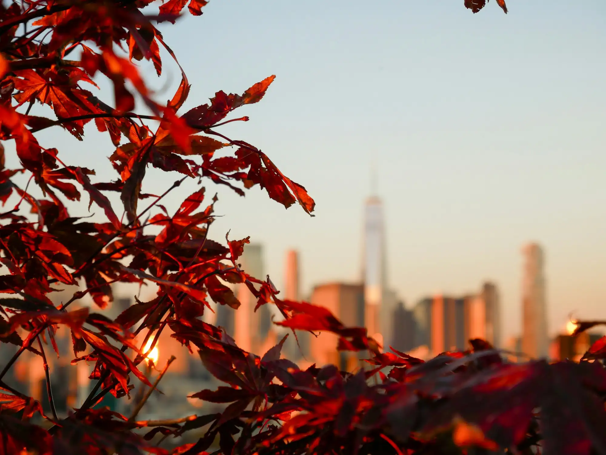 new work im herbst
