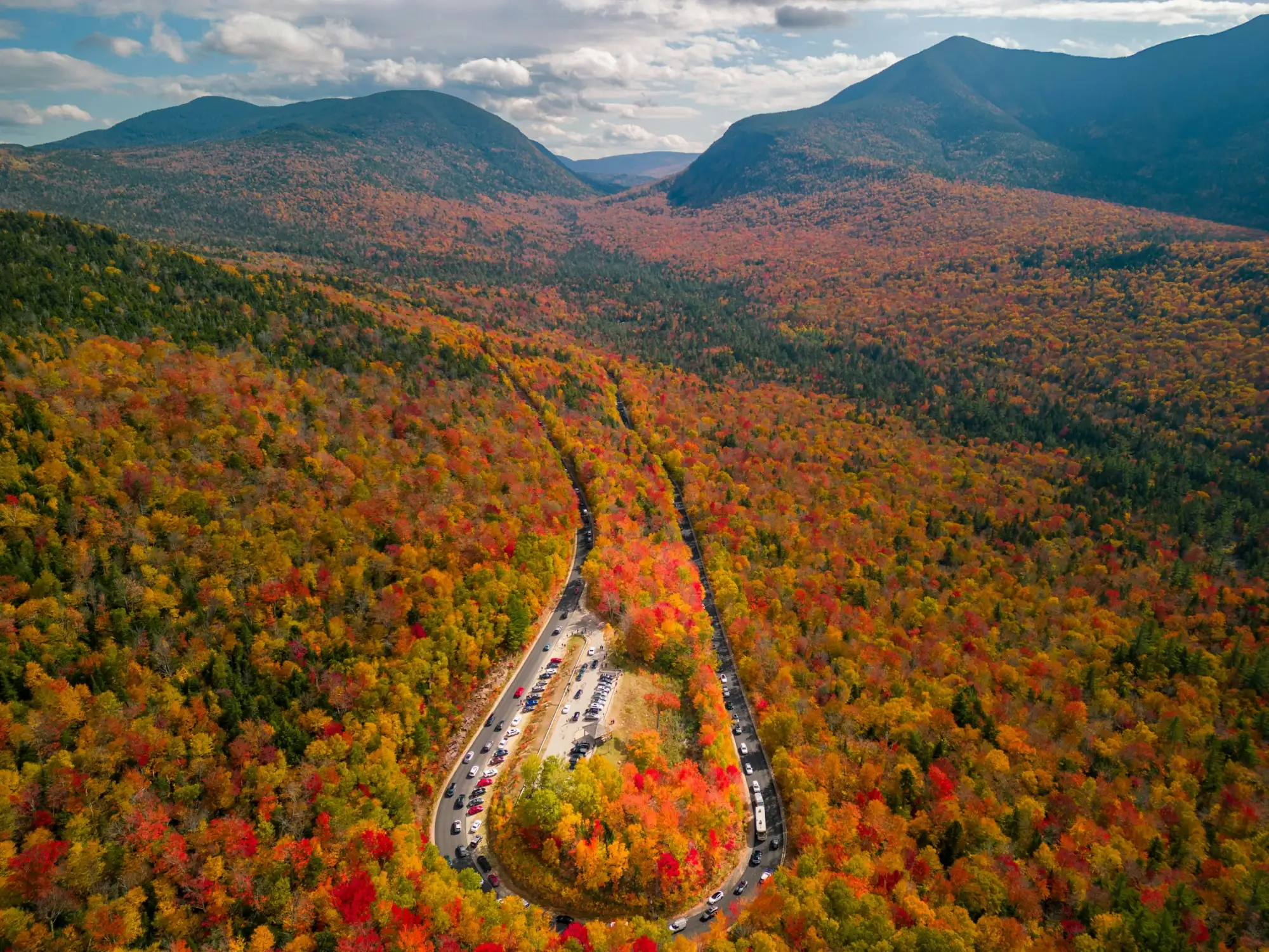 new england herbst