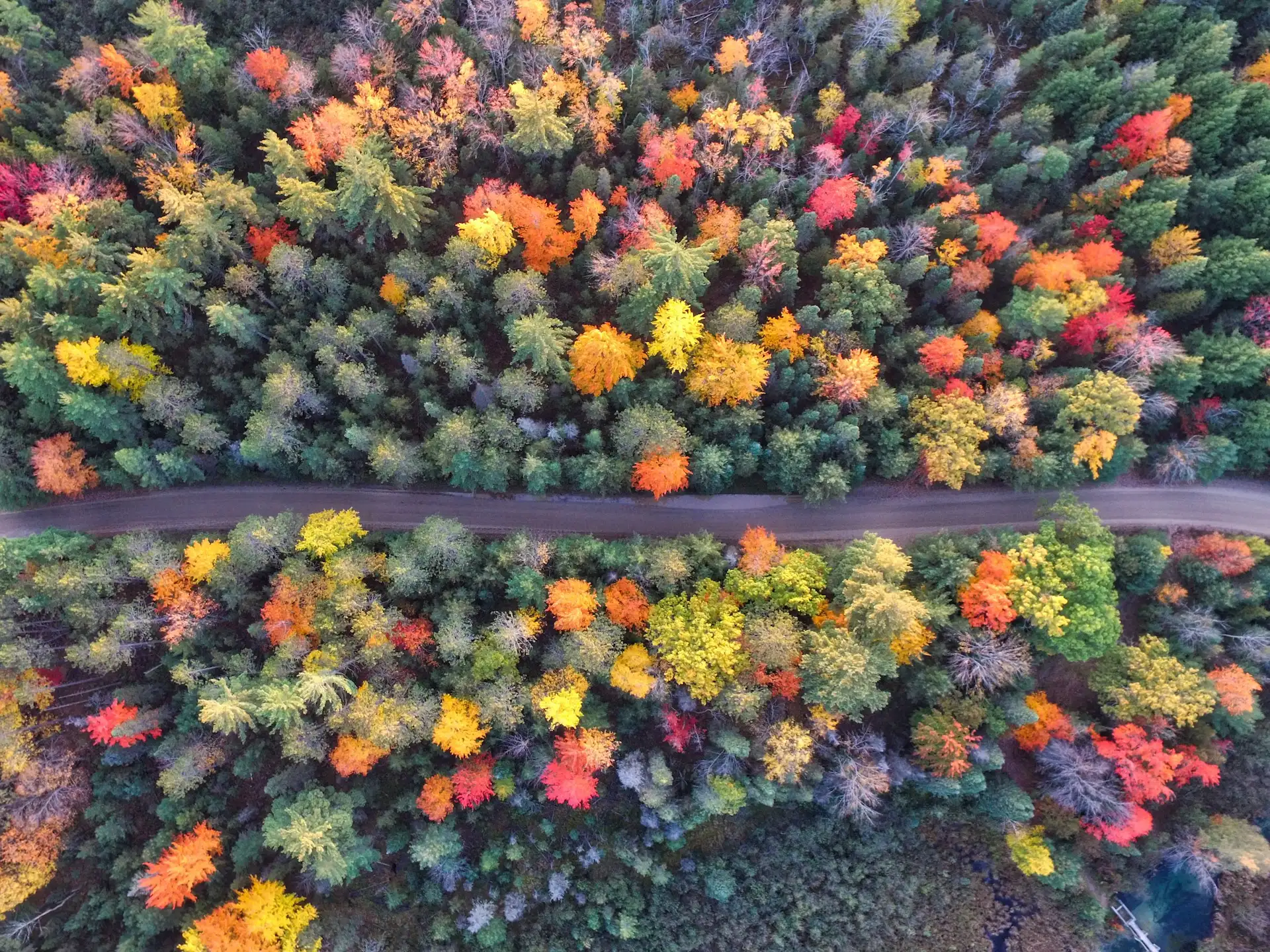 Fall Foliage Start