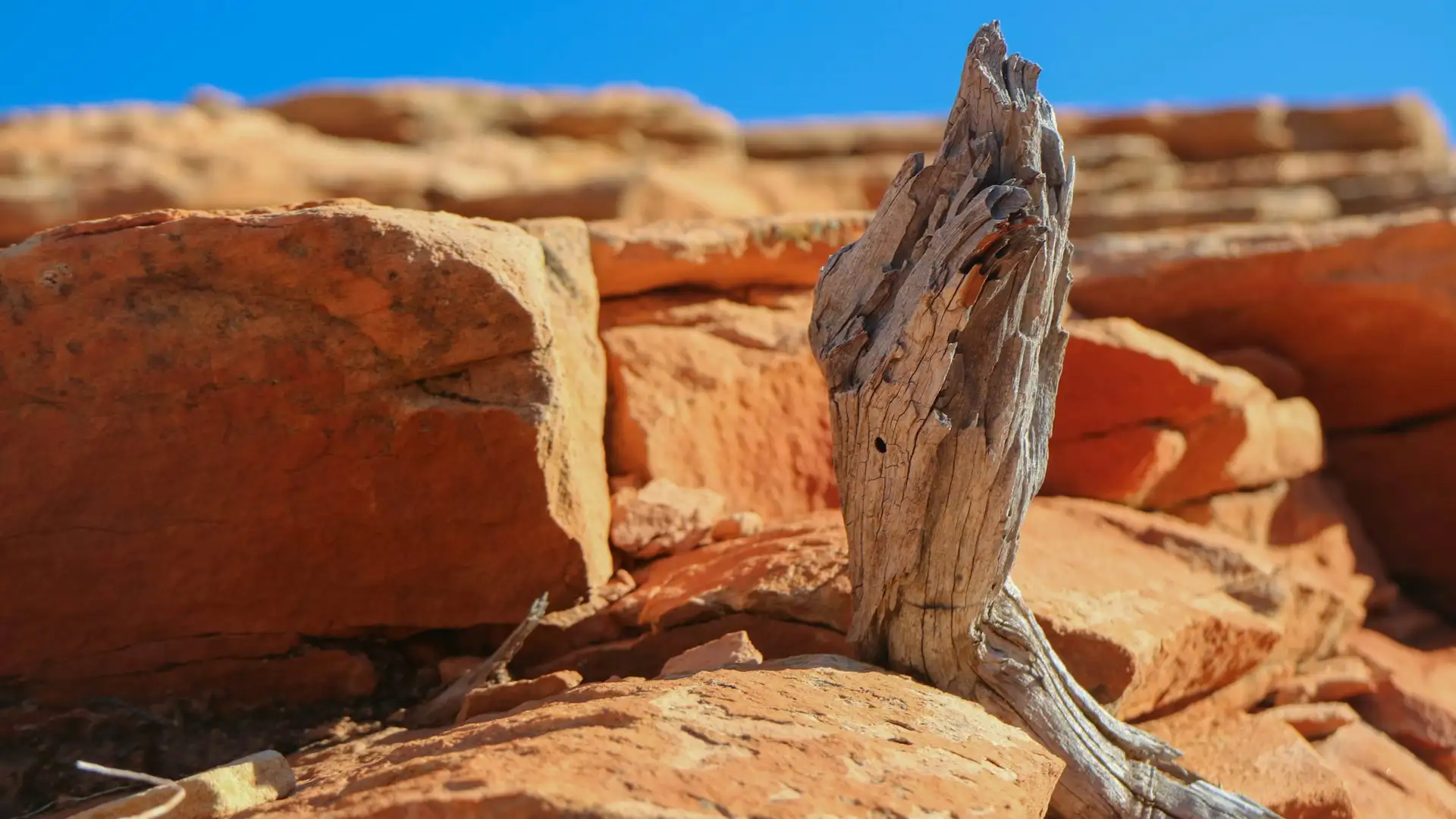Natur in Utah