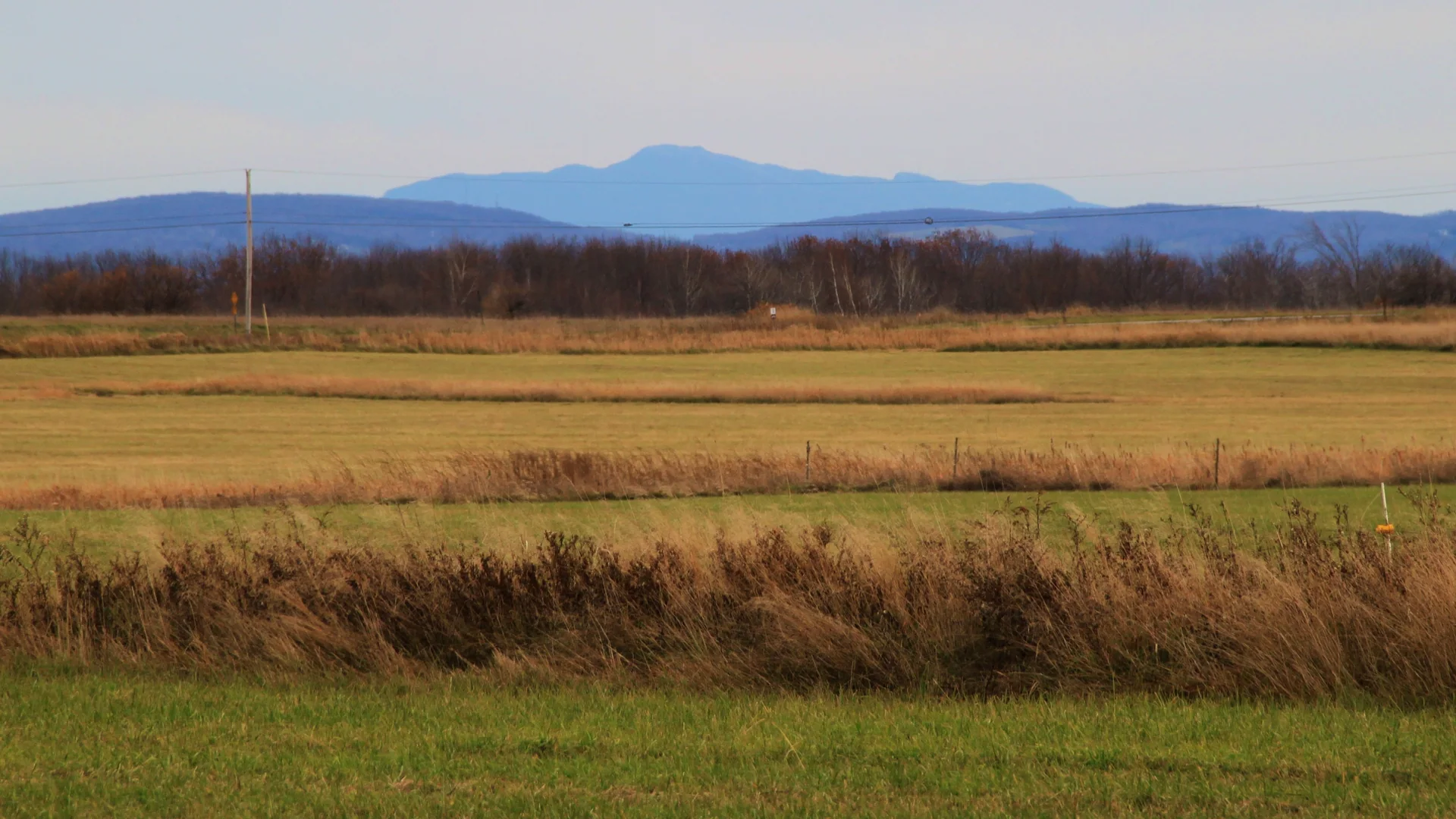 Weites Grasland vor Mount Mansfield im Missisquoi National Wildlife Refuge