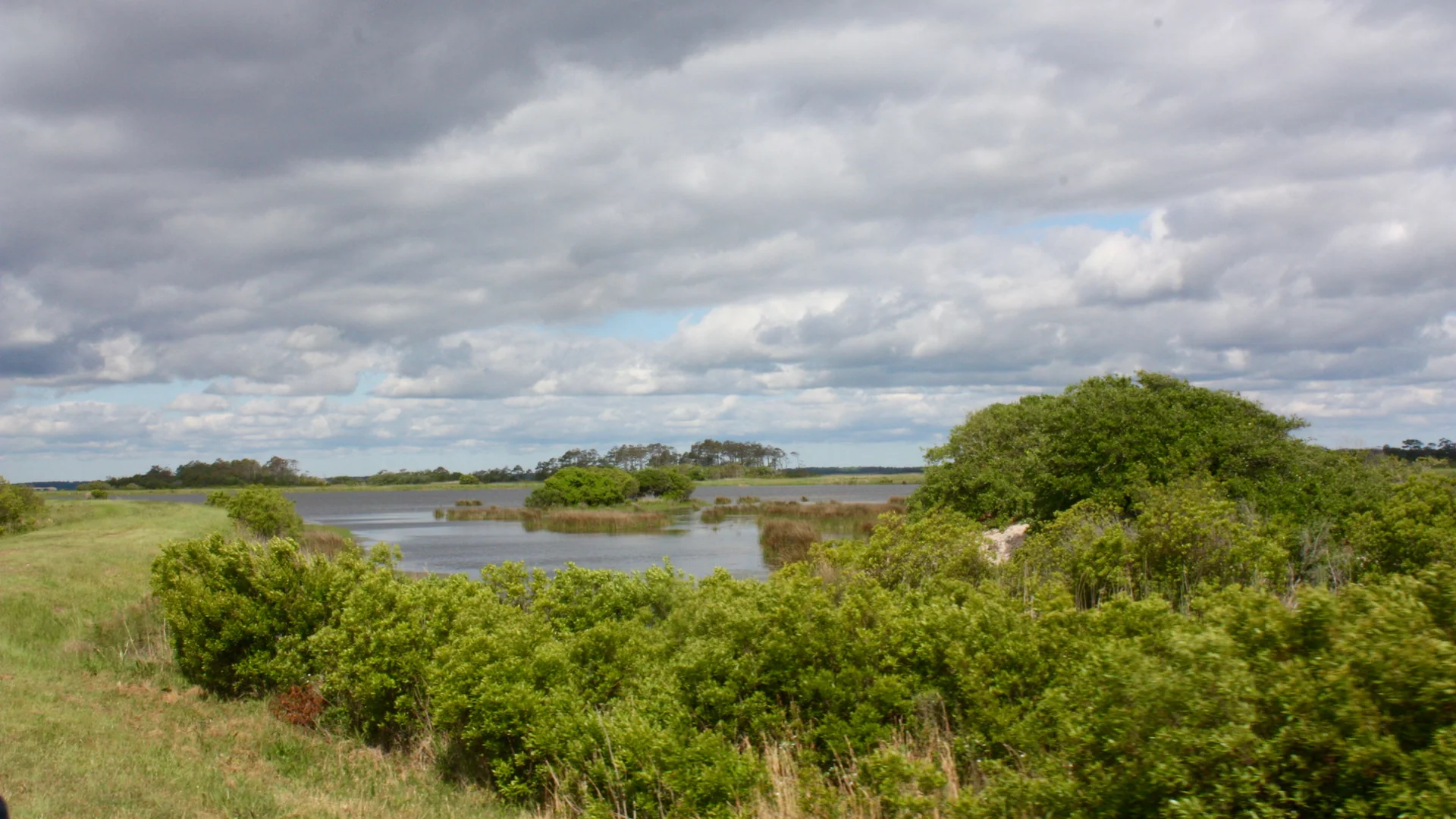 Lagunen und Küstenvegetation unter Wolken im False Cape State Park