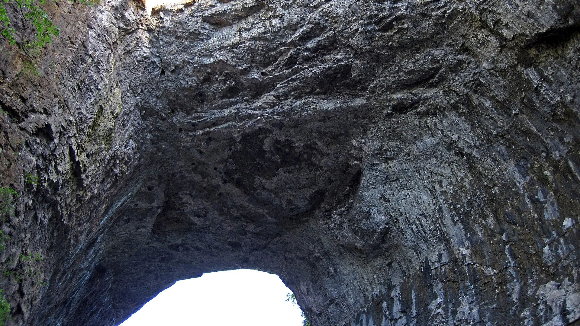 Felsbogen des Natural Bridge State Park aus der Schlucht gesehen
