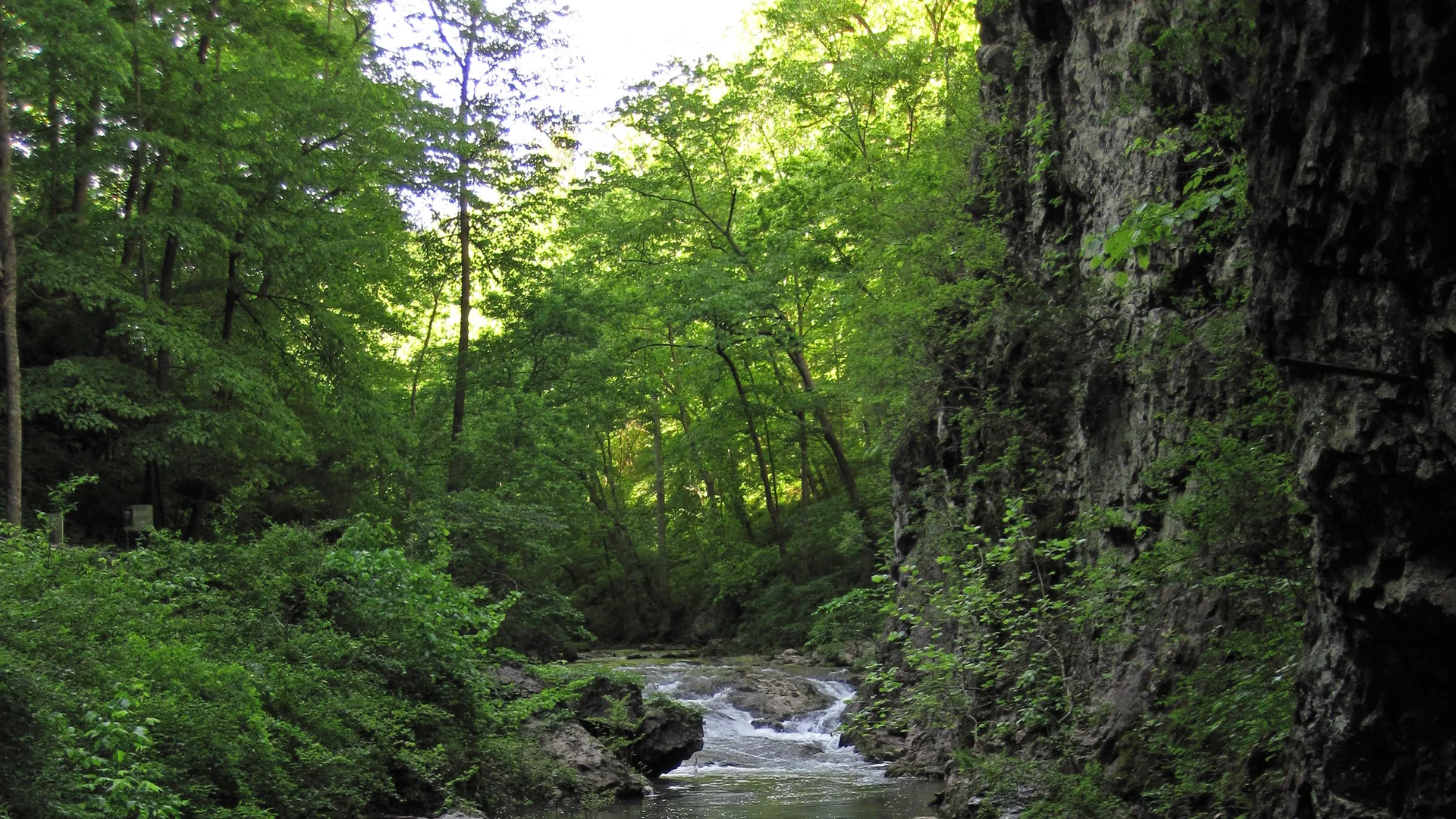 Cedar Creek zwischen Wald und Felswänden im Natural Bridge State Park