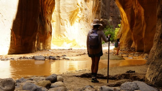 Titelbild von Wandern im Zion Nationalpark