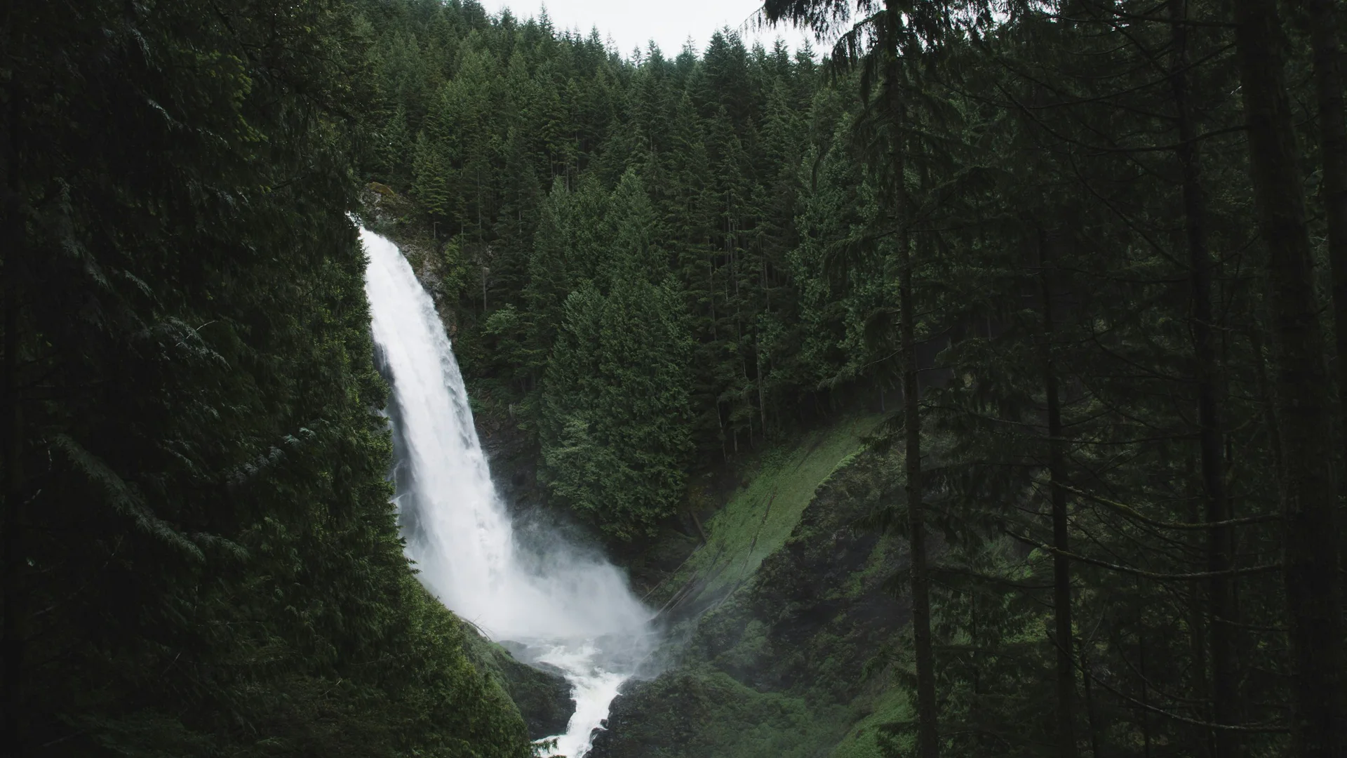 Wallace Falls als breite Wasserfallstufe zwischen dunklen immergrünen Bäumen