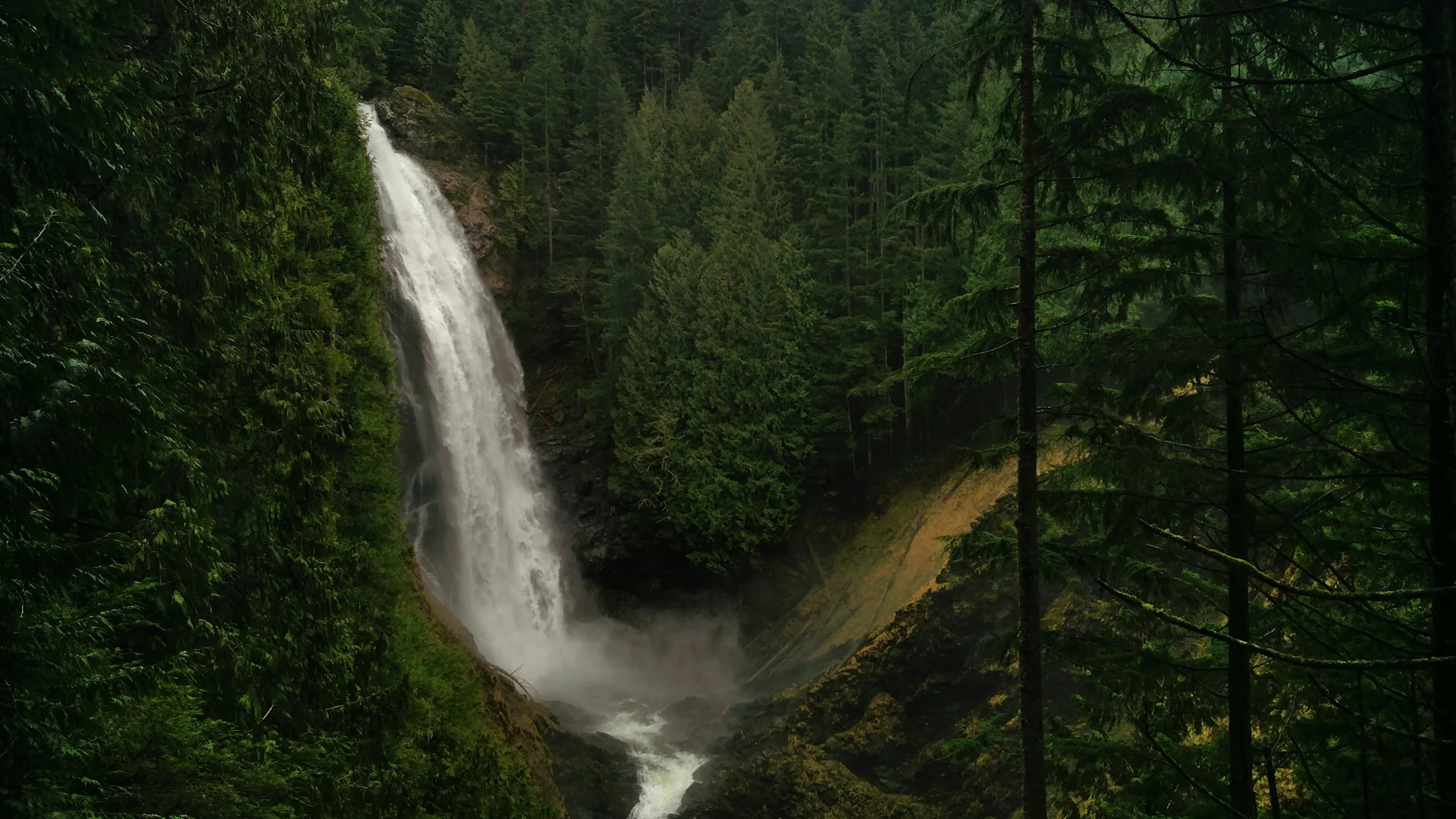 Hoher Wasserfall zwischen dichtem Nadelwald im Wallace Falls State Park