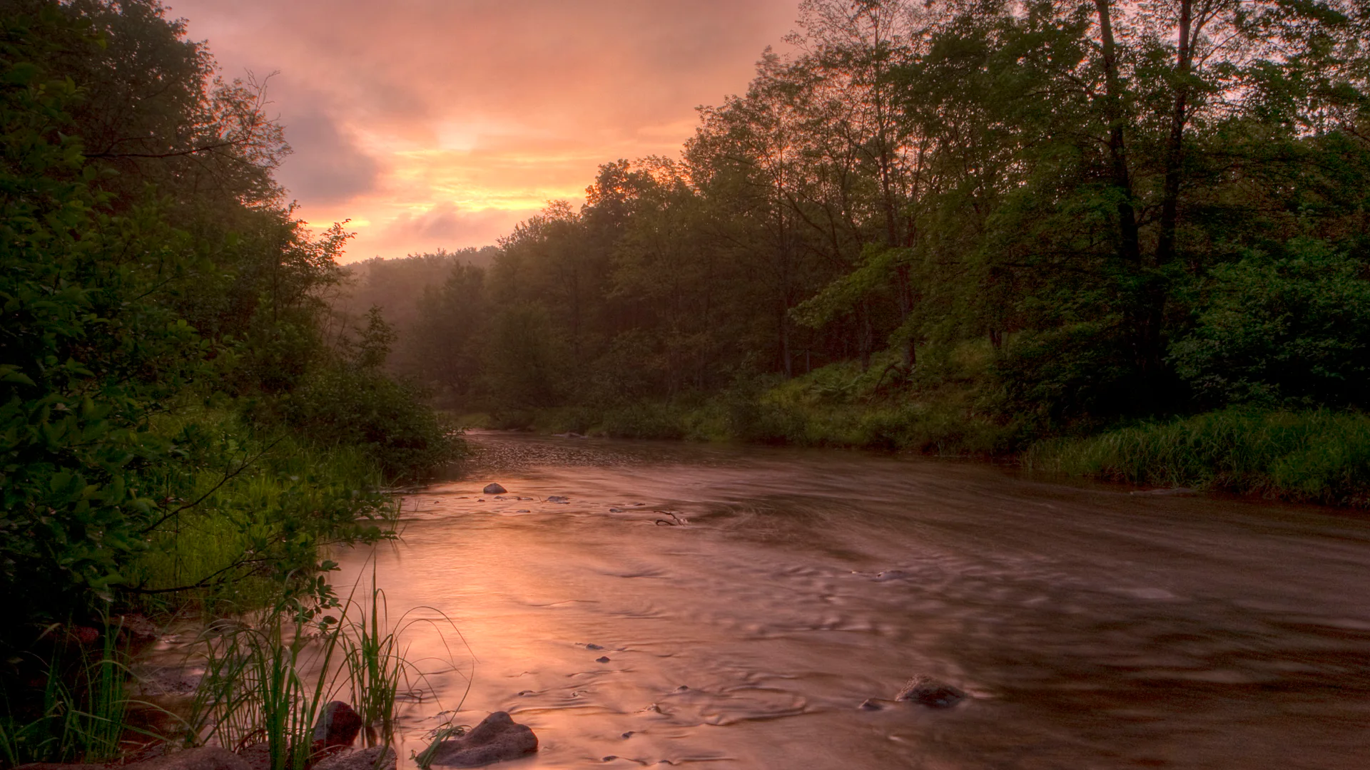 Abendlicht spiegelt sich im Blackwater River im Canaan Valley National Wildlife Refuge