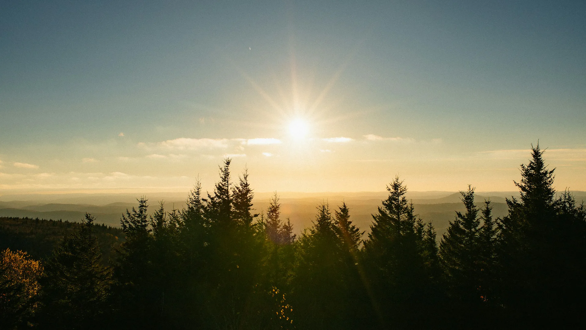 Tief stehende Sonne über Nadelwald und Bergketten im Monongahela National Forest