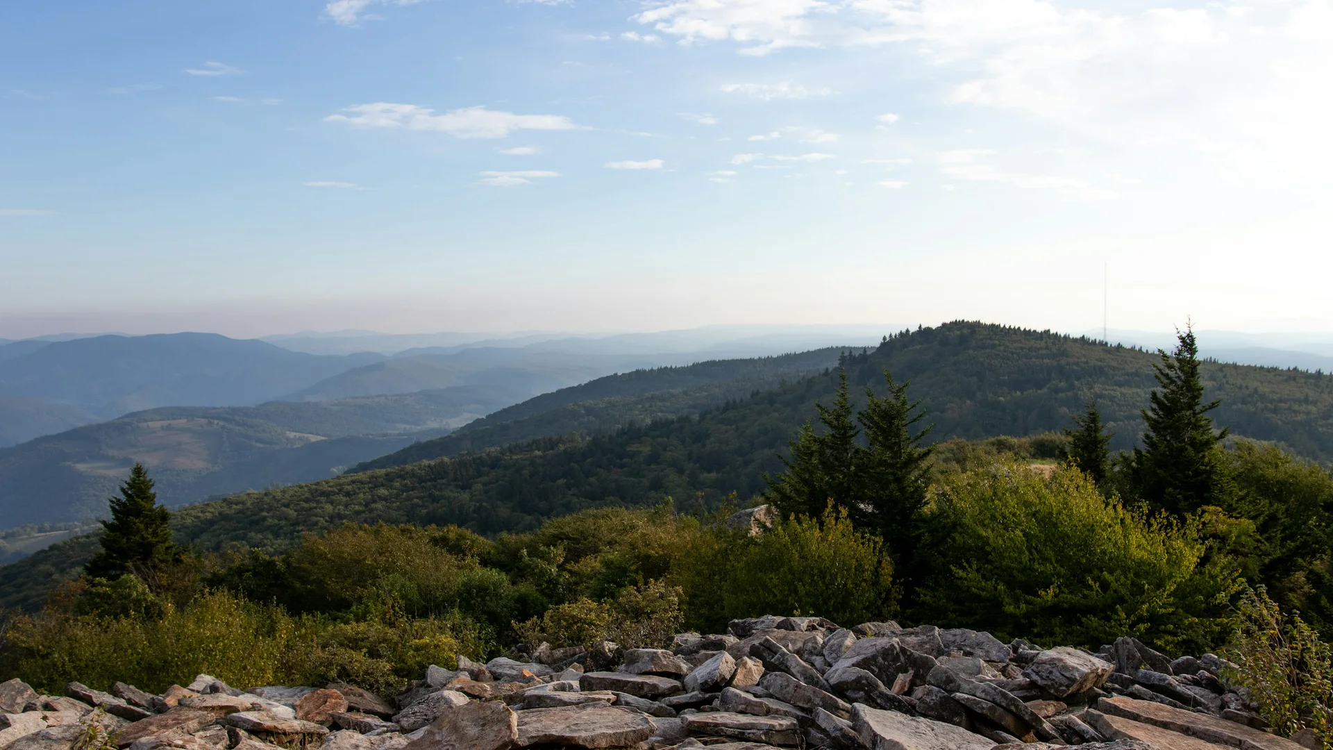 Felsfeld, Nadelbäume und gestaffelte Bergrücken am Spruce Knob im Monongahela National Forest