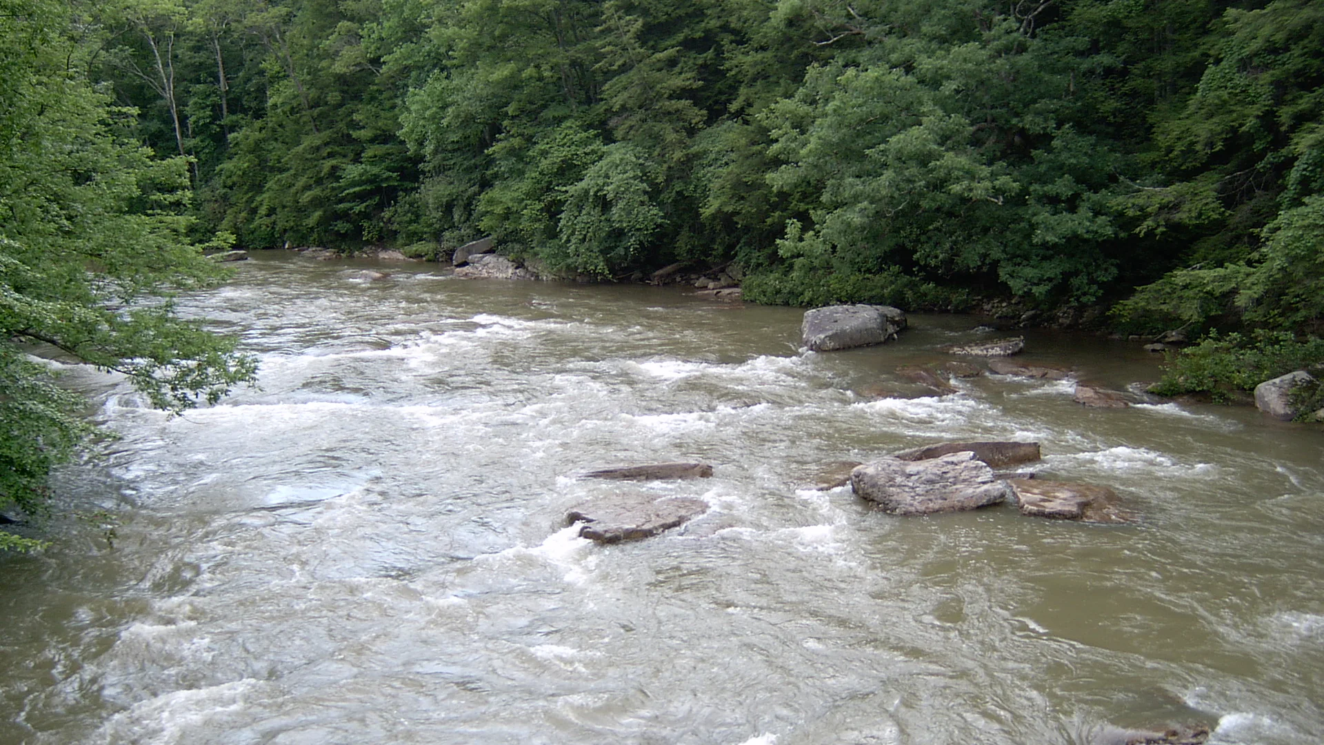 Stromschnellen und große Felsen im bewaldeten Middle Fork River im Audra State Park