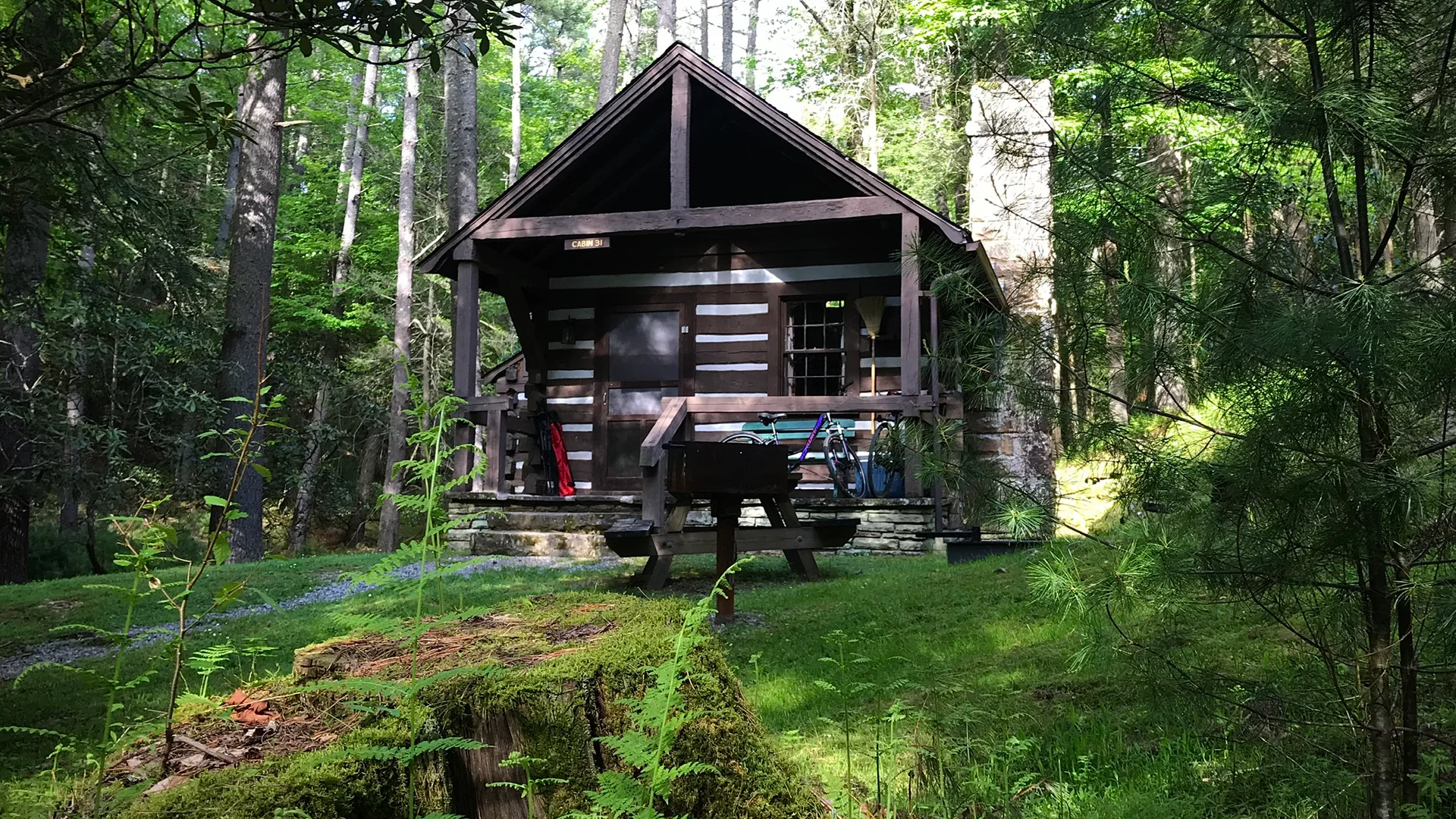 Rustikale Holzhütte zwischen Farnen und dichtem Wald im Watoga State Park