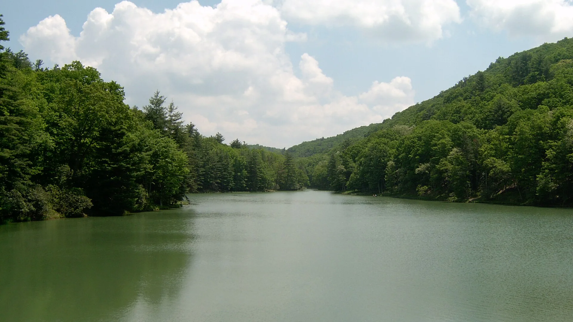 Ruhiger See zwischen grünen Berghängen im Watoga State Park