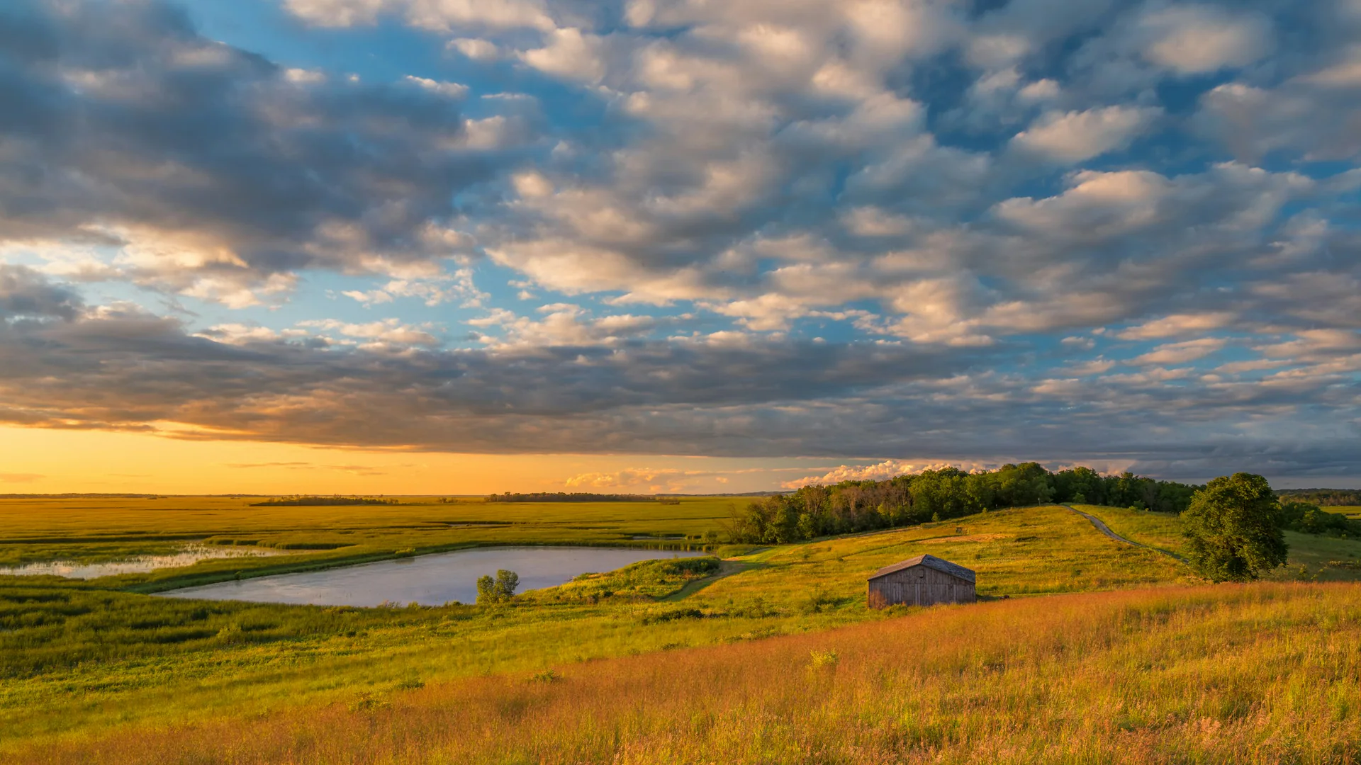 Weite Horicon Marsh mit Wasserflächen, Gräsern und dramatischem Abendhimmel