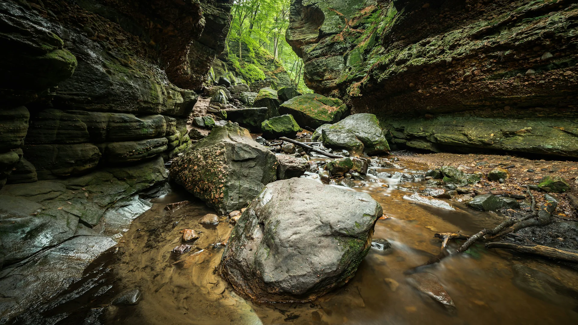 Mossige Felsen und ein Bach am Ice Age National Scenic Trail bei Merrimac