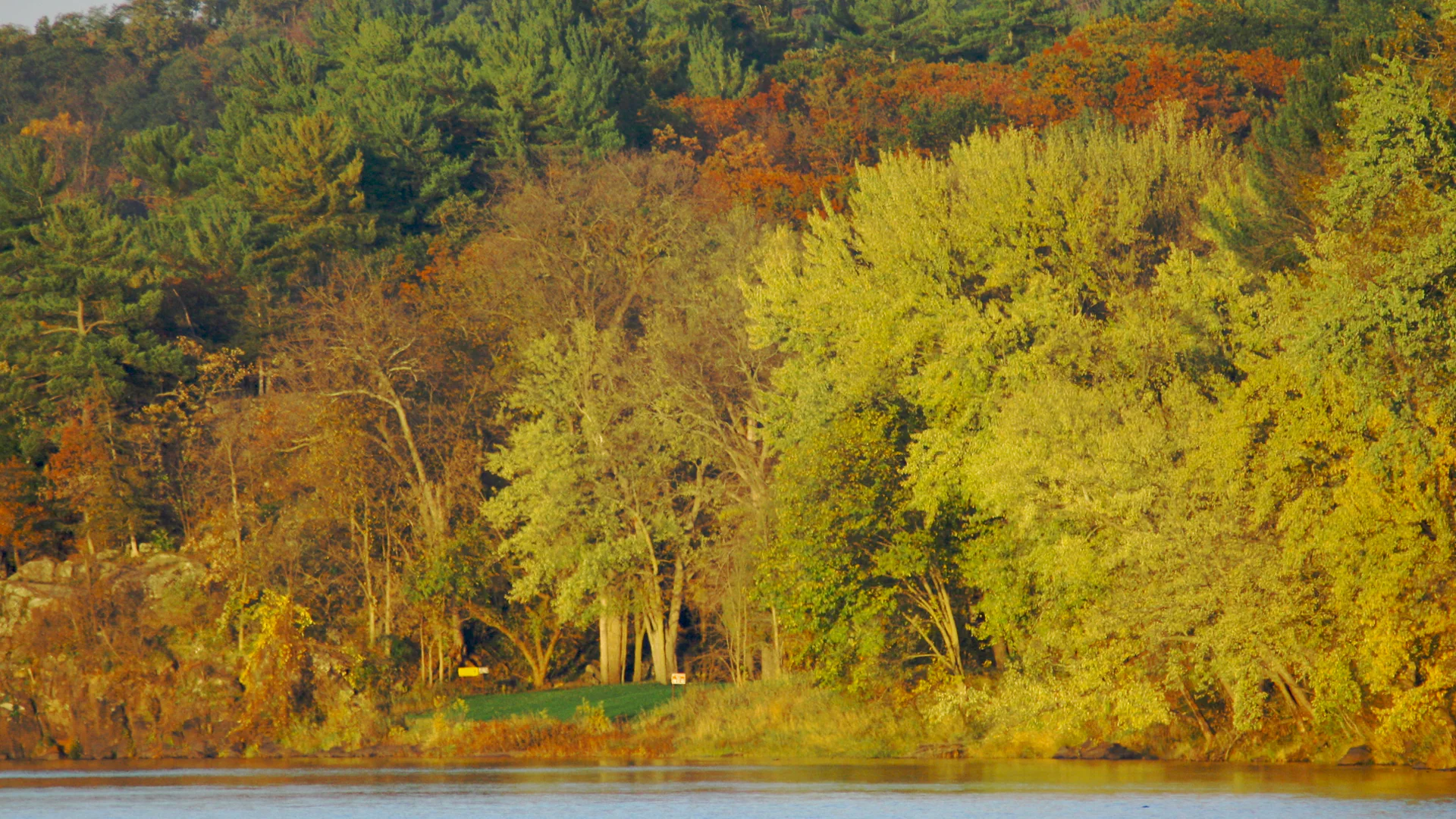 Herbstlich gefärbte Bäume am St. Croix River beim Interstate State Park