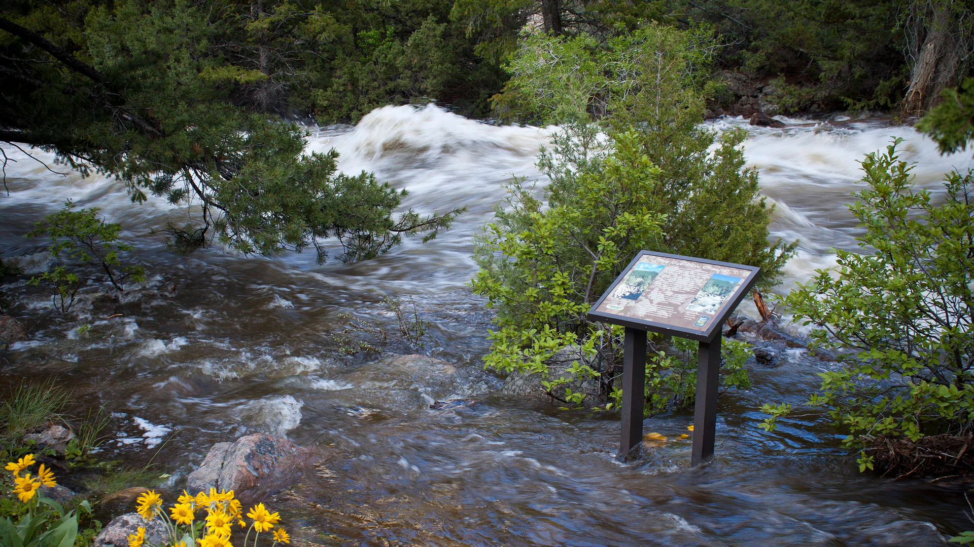 Hochwasser umspült eine Informationstafel und Sträucher im Sinks Canyon State Park