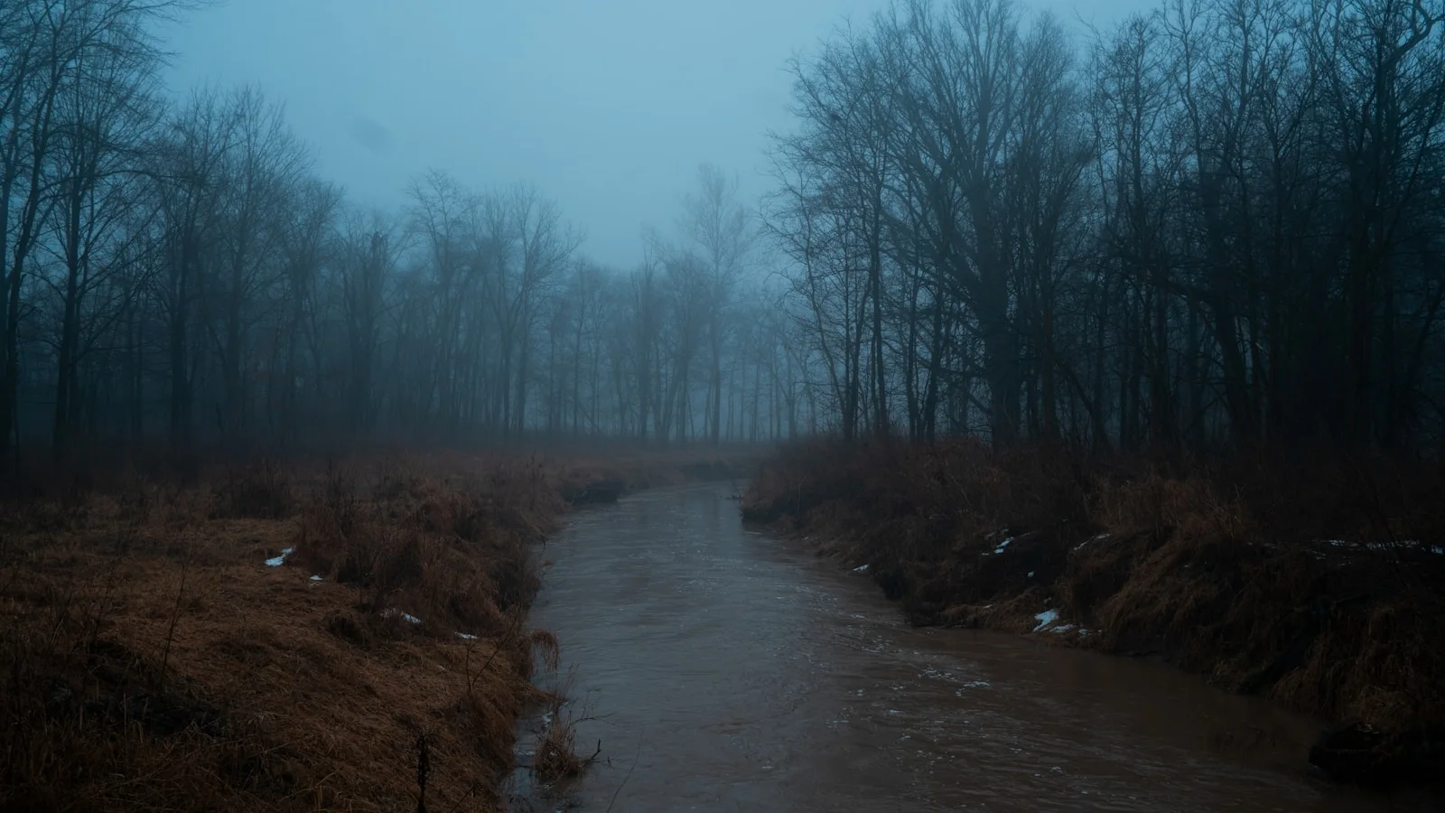 body of water between trees