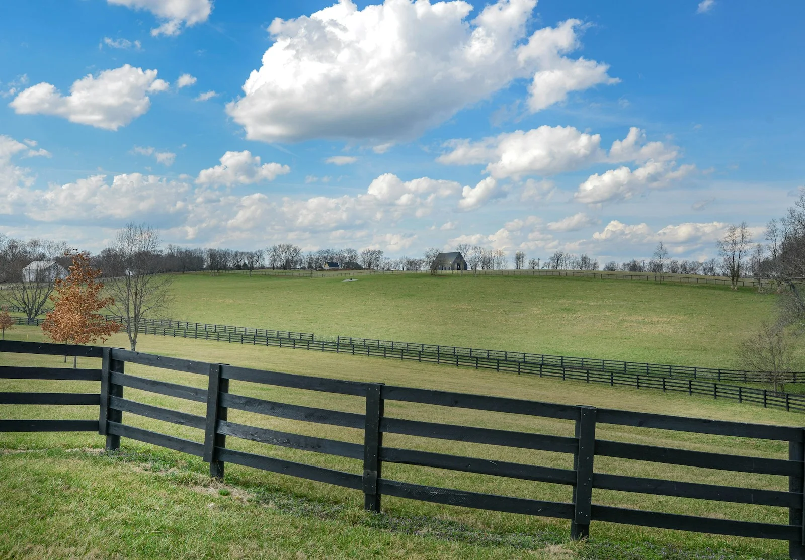 Black fence in front of green field and blue sky.