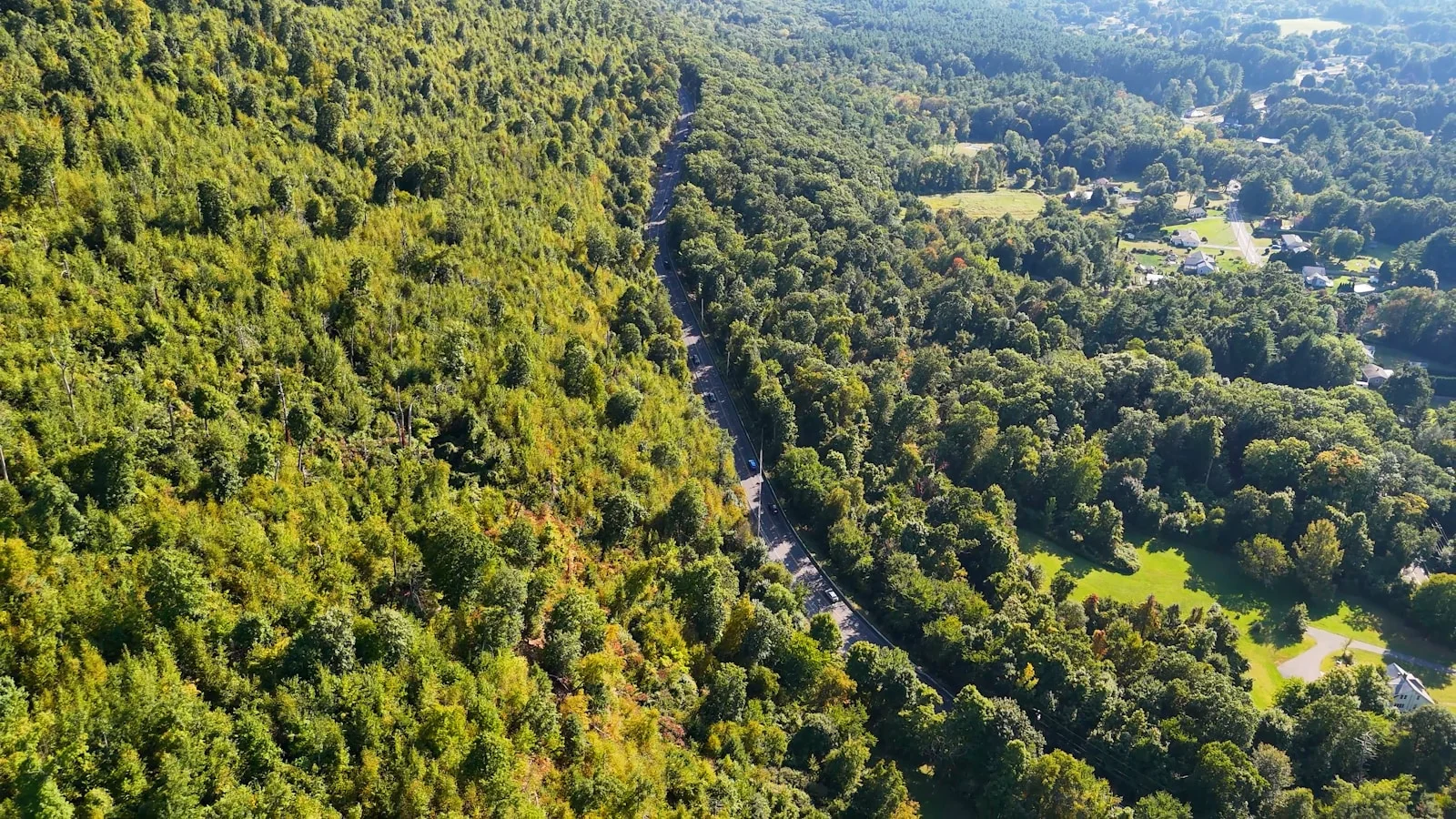 An aerial view of a river running through a lush green forest