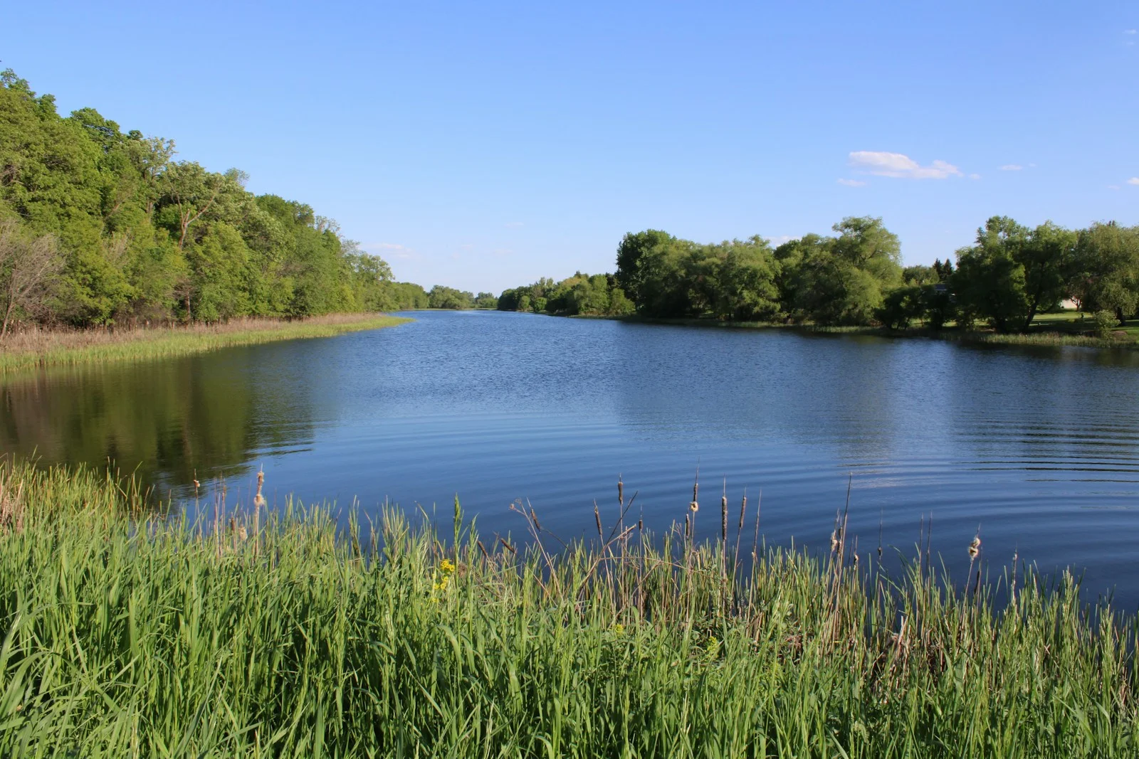 a body of water surrounded by trees and grass