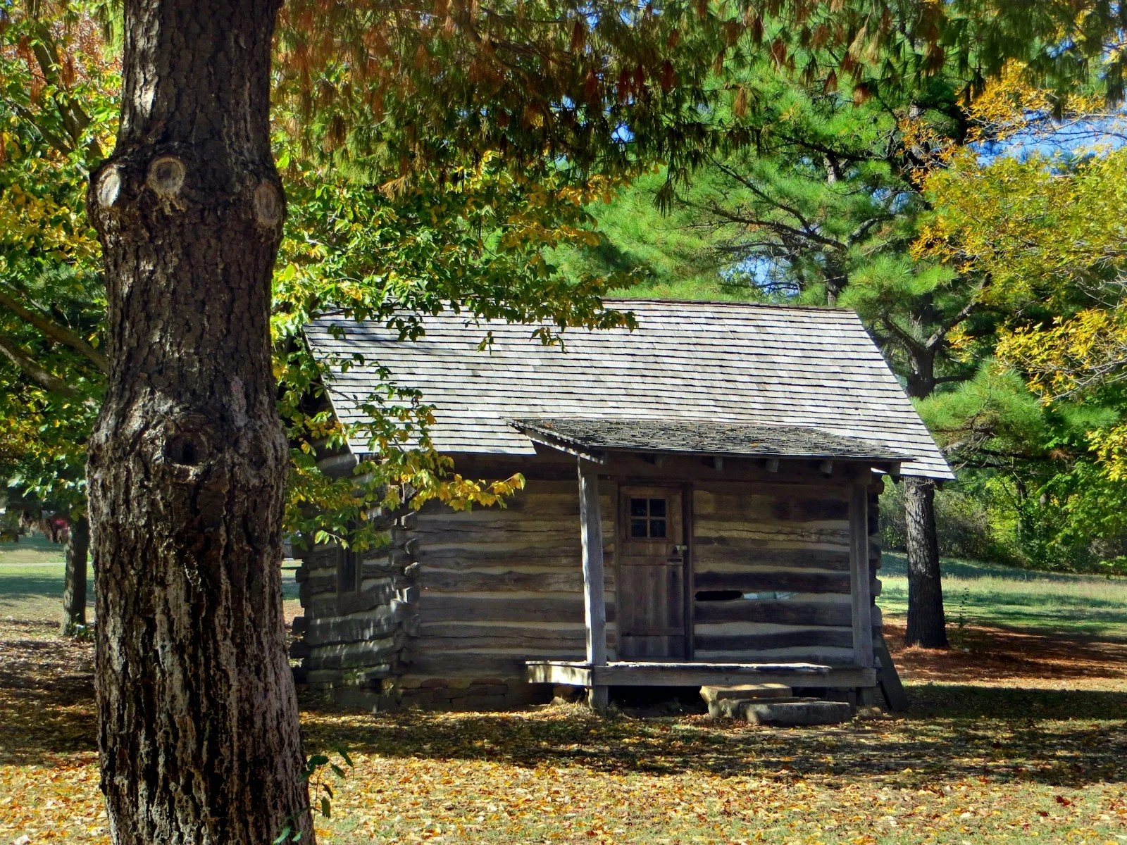 brown wooden house near green trees during daytime