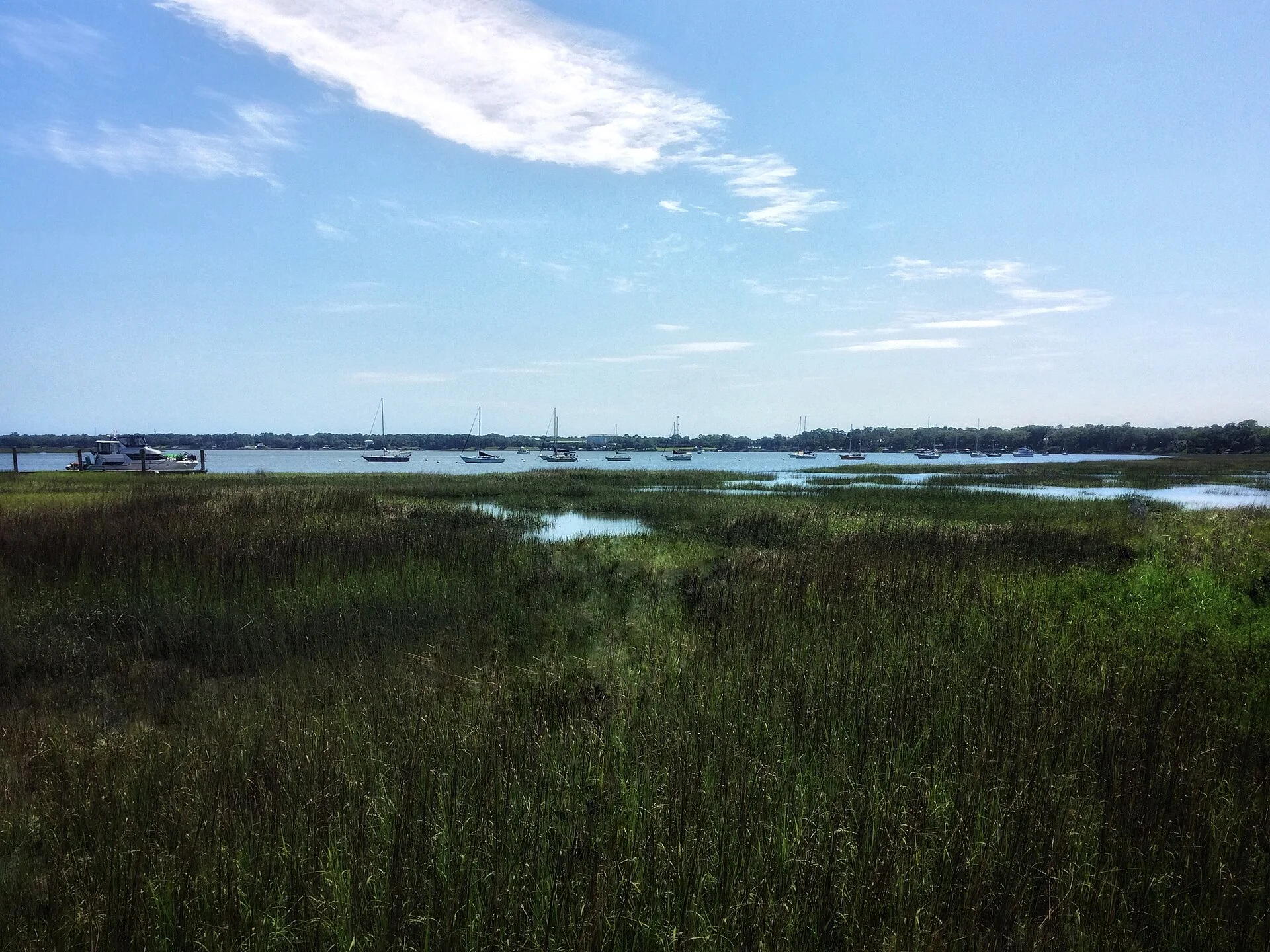 Marshlands on the Intracoastal Waterway near Marina and Waterfront Park in City of Beaufort, South Carolina.