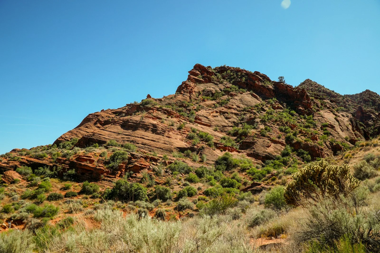 Red rock mountain with sparse green vegetation under blue sky