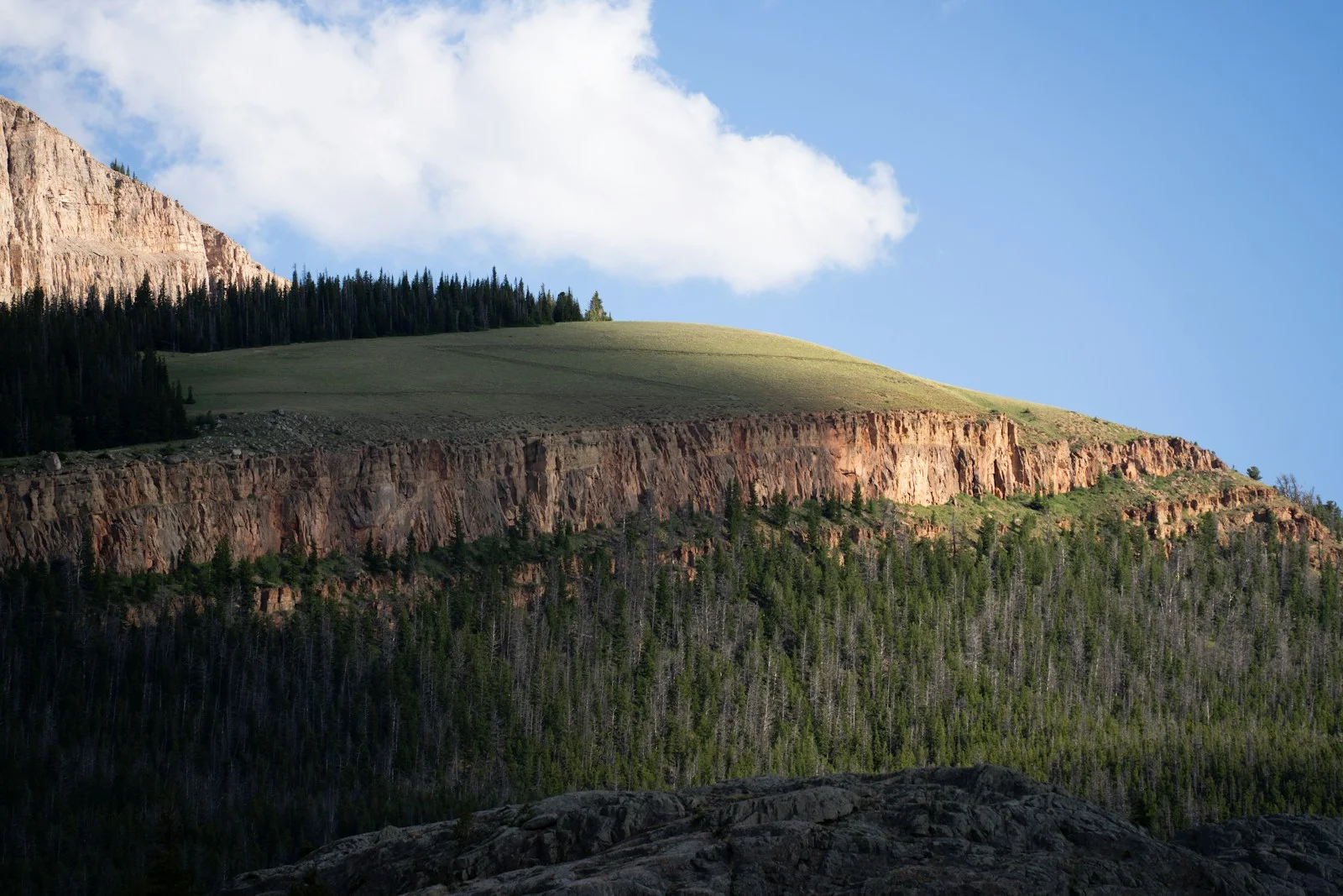 A large mountain with a forest on the side of it