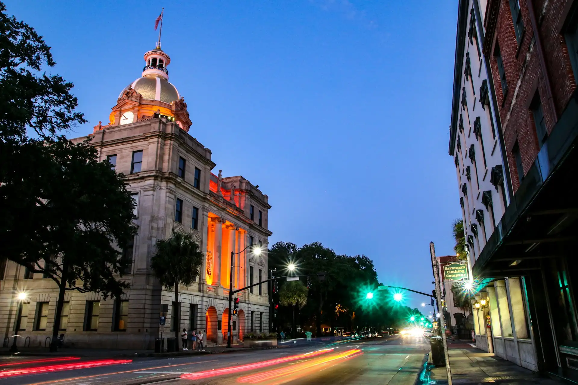 savannah in Savannah