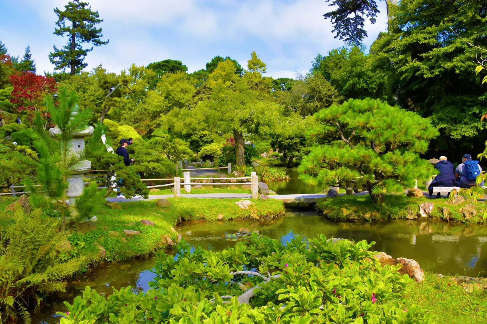 Japanese Tea Garden im Golden Gate Park in San Francisco