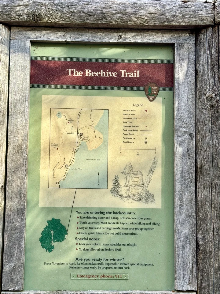 Infotafel zum Beehive Trail in einem Holzrahmen am Waldweg