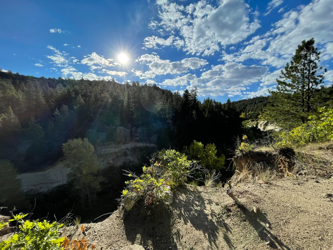 Helle Felswände und bewaldete Hänge über der Schlucht im Castlewood Canyon
