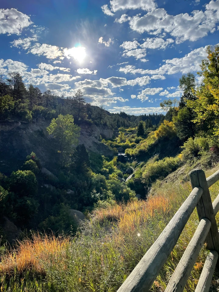 Schlucht mit Felswänden und dichter Vegetation im Castlewood Canyon