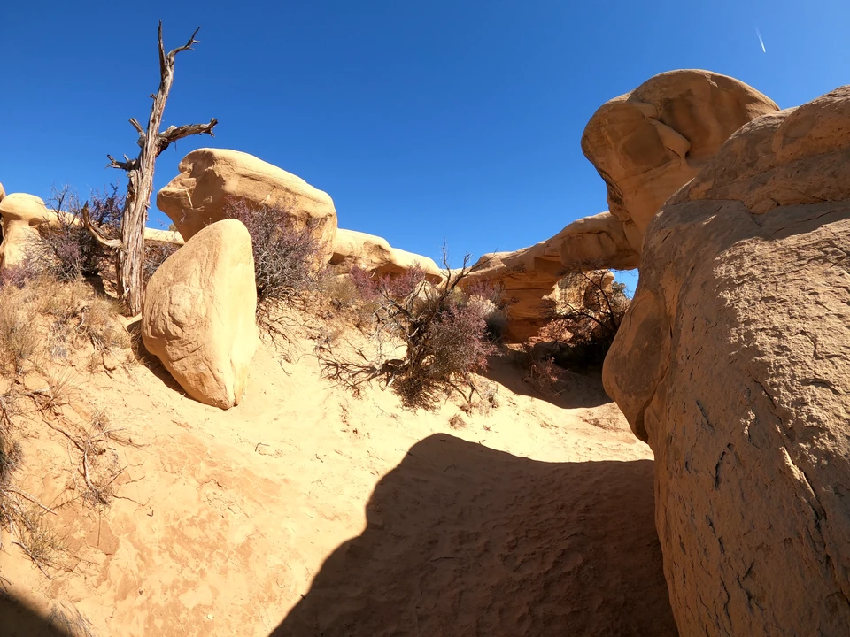Sandsteinbogen mit hellen Felsen und blauem Himmel im Devils Garden