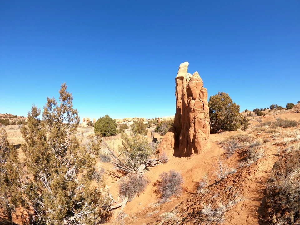 Hohe schmale Sandsteinsäulen zwischen niedrigen Sträuchern im Devils Garden