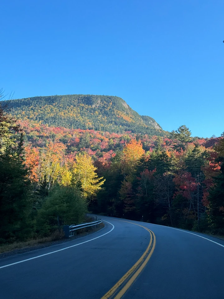 Kancamagus Highway zwischen herbstlich gefärbten Bäumen in den White Mountains
