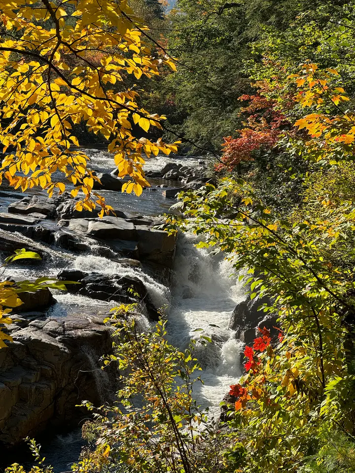Wasserlauf zwischen Felsen und gelben Blättern an der Rocky Gorge