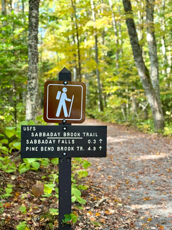 Wegweiser zu Sabbaday Falls und zum Sabbaday Brook Trail am Waldrand