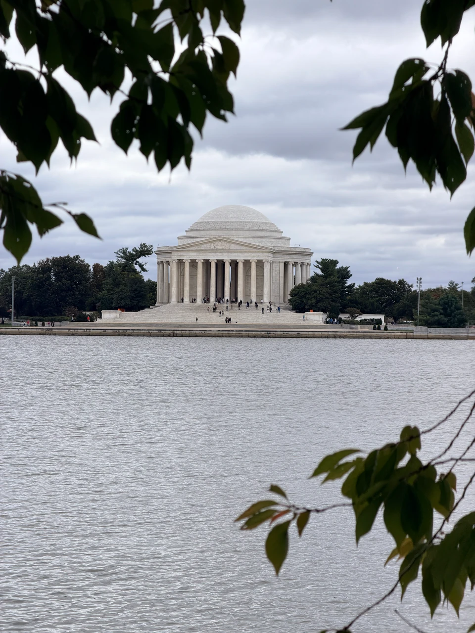 Jefferson Memorial hinter dem Wasser des Tidal Basin und überhängenden Zweigen im Herbst 2025