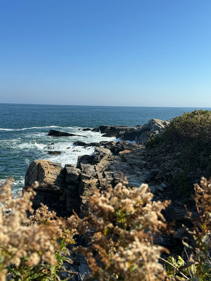 Wellen an den zerklüfteten Felsen im Fort Williams Park