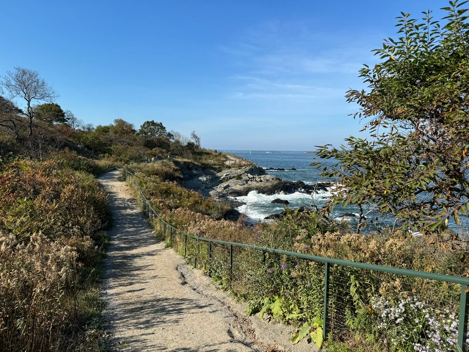 Küstenweg zwischen Sträuchern und Felsen im Fort Williams Park