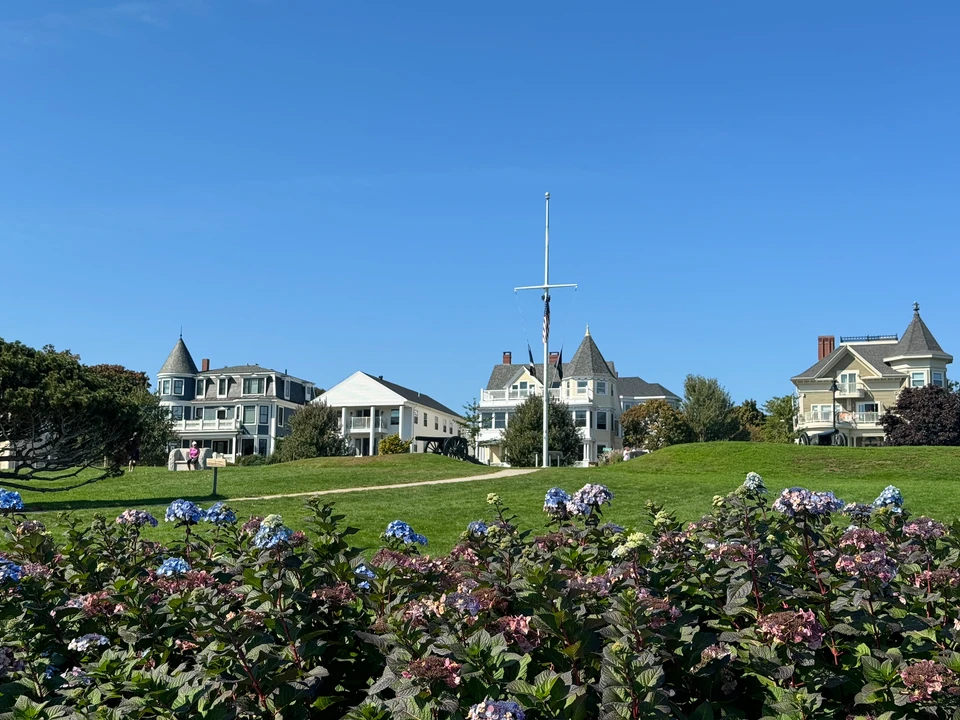 Rasenfläche und Blumen vor Häusern am Fort Allen Park in Portland