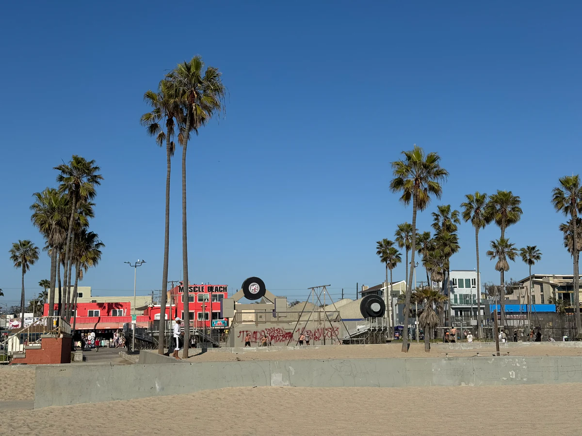 Palmen und Trainingsbereich am Muscle Beach in Venice