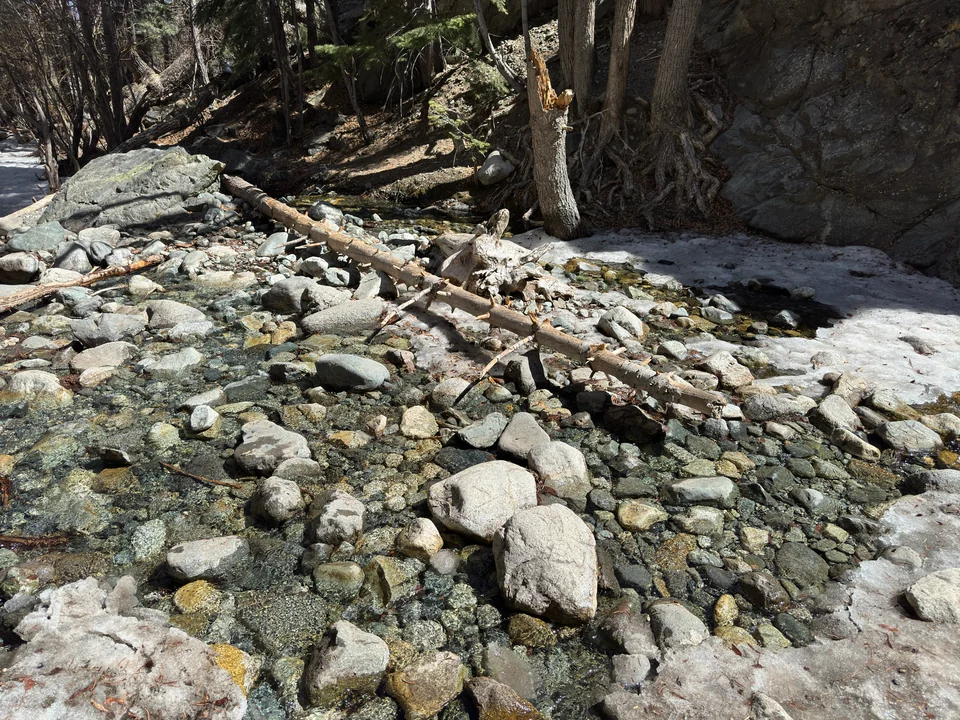 Zapata Creek zwischen Steinen und Eisresten unter Bäumen