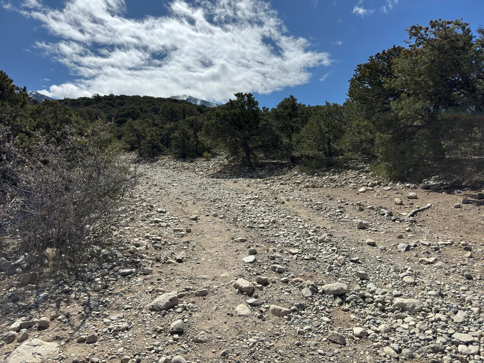 Steiniger Wanderweg zwischen niedrigen Bäumen bei Zapata Falls